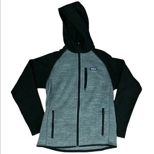 Patagonia Fleeced Zip Up Hoodie